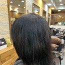 소피아헤어 - 연수구 송도 | 소피아헤어