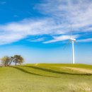 하늘목장 이미지