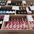 코스트코 공세점 | 코스트코 공세점 방문 후기ㅣ위치, 주차, 회원권, 추천상품 총정리