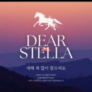 스텔라미용실 - 평택시 | 스텔라미용실