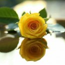 오늘하루가 이미지