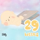 창하회식당 | 20. 임신 28-29주차