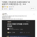 953007 이미지