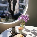 카페 펀치즈 이미지