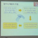 바이오오소틱 이미지