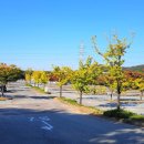 인천대공원(야외음악당 옆) 이미지