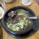 고창 청보리밭 맛집 추천 한우청보리 생고기비빔밥 선짓국 후기 (단체 모임 가능)