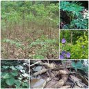 방글농장 이미지