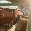 농업회사법인 (주)지오 이미지