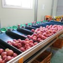 부사시장 이미지