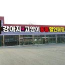 이츠펫(광혜원점) 네이버블로그