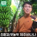 춘서농장 네이버블로그