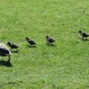 소사랑농장 이미지