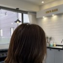 심스헤어 이미지