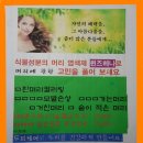 해피데이퀸즈헤나