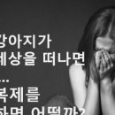 청라종합동물병원 이미지
