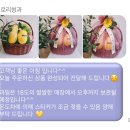 글로리청과 이미지