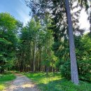 불갑사 관광휴양단지 이미지