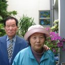 박위석 Daum카페