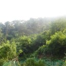 내서읍146 이미지