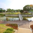 읍내리 게이트볼장 이미지