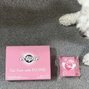 세븐일레븐 울산삼산점 | 세븐일레븐 이클립스 구매 후기