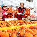 함안체육관 이미지