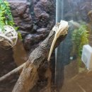 성충문구 | 기장아이랑가볼만한곳 드디어 부산에 도착한 롯데아울렛메종동부산 여주곤충박물관 팝업