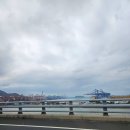 신항묘 | 2024-09[거제도]
