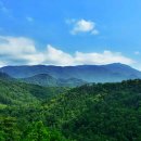 회동수원지 이미지