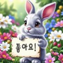 숙이네죽팥칼국수 | [양산동] 광주칼국수, 동지죽, 콩물국수맛집 &#34;진미팥죽&#34;