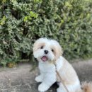 좋은소리유치원 이미지