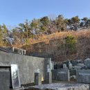 블랙트리 하우스 | [영흥도 - 블랙트리 캠핑] 트리하우스 독채 후기 (+ 크리스마스 파티)