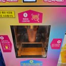 셀프존 | 트레이더스 과일 바로 스무디 셀프존 후기 | 2,900원의 소소한 즐거움