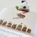 작지만 커다란 이야기