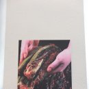 순천조례초등학교 이미지