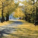 의동마을 이미지