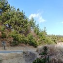 GS25거제오션자이점 이미지