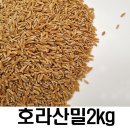 밥보야 이미지
