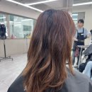 모델미용실 - 달성군 | 강남 헤어모델 헤어협찬 / 르블라썸 미용실에서 히레디자이너에게 받은 헤이즐넛 브라운 염색 후기