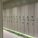 어뮤즈 피트니스 | 어뮤즈피트니스 남양점 후기