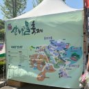 제 16회 양평 용문산 산나물 축제 | 토요일 2일차 후기