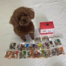 주식회사 씨제이피 이미지