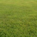 왕징농장 이미지