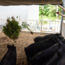 김성만농장 이미지