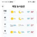 춘천 농협을 가다가 이미지