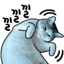 한국반점 이미지