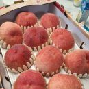 대홍농장 이미지