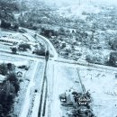 레일로드(rail road) | [싱가포르] 옛 철도길을 따라 걷는 숲길 - 레일 코리도(Rail Corridor)