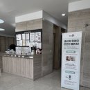 전치 앞(1) | 전치태반 원인 출혈 언제까지 있었을까? 실제 출혈량 경험담 공유(1)